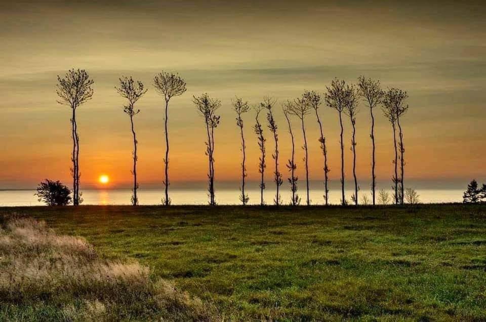 Domek Morski Swarzewo Buitenkant foto